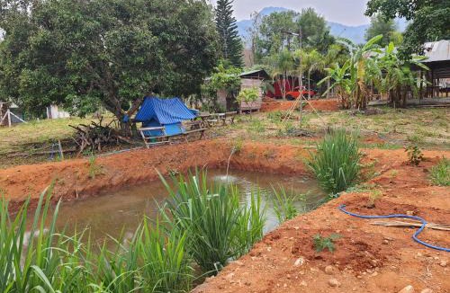 Pai House | Jungle zone pai