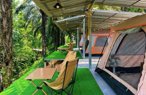 Khlong Sok Other | KhaoSok Malin Glamping