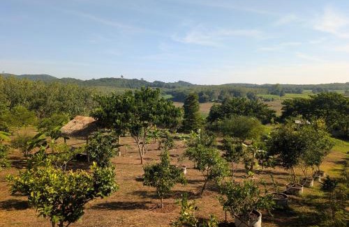 Loei Province House | Loei Valley Farm Stay