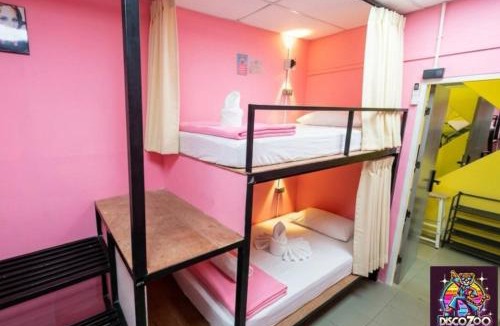Baan Tai Hostel | DISCO ZOO Bar & Hostel