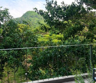 Khao Yai National Park House | kind of green house