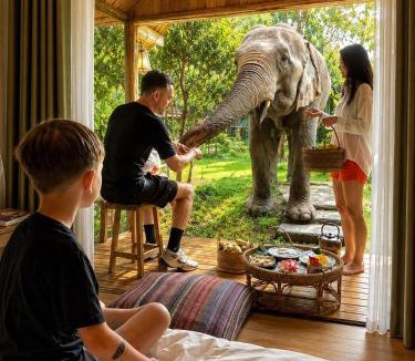 Mae Wang Resort | 3 Pok Maewang jinxiang Gold elephant park