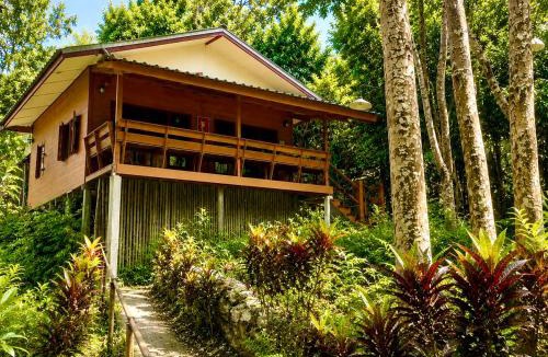 Mae Wang Resort | Maewin Resort