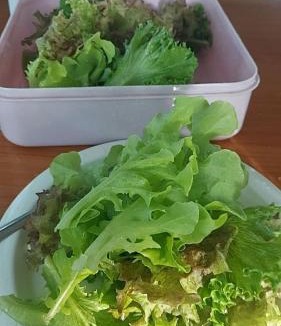 Ban Sang House | Gus gus Home Stay