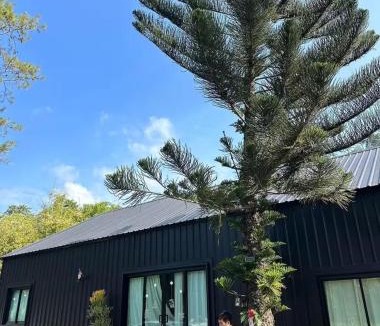 Mae Rim House | 360 Black Cabin - Mountain View & Warm Mineral Pool
