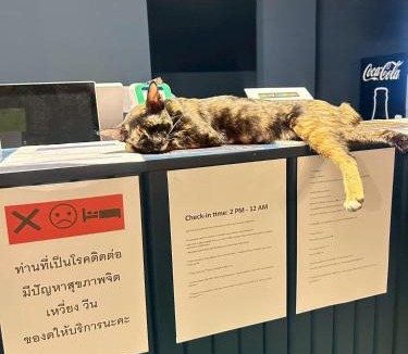 Racha Thewa Hotel | Comfy hotels Suvarnabhumi Airport
