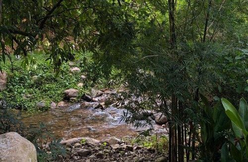Khao Yai National Park House | kind of green house