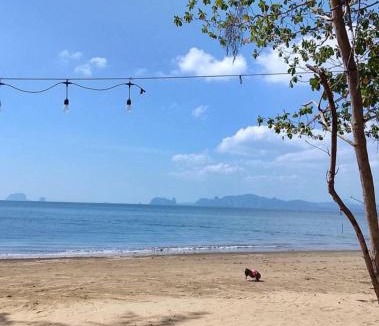 Talingchan Resort | Koala Glamping Krabi