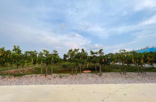 Klaeng House | Nueng Pool Villa