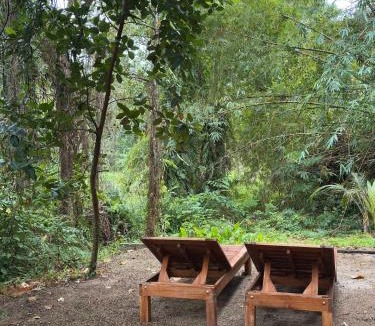 Hin Hong Apartment | Lakehouse in the Old Rainforest