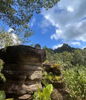 Kong Ra Cabin | สวนหินธาราเขาแม่พันธุรัตน์โฮมสเตย์ & แคมปิ้ง กงหรา พัทลุง