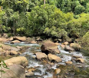 Khlong Sok Other | Anita Camp stay