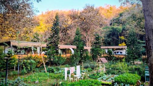 Samut Sakhon Other | The Forest Camp Khaoyai เดอะฟอเรสแคมป์ เขาใหญ่