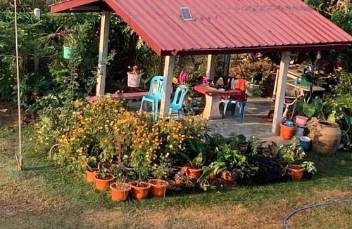 K. Kwao Si Narin House | CC Homestay