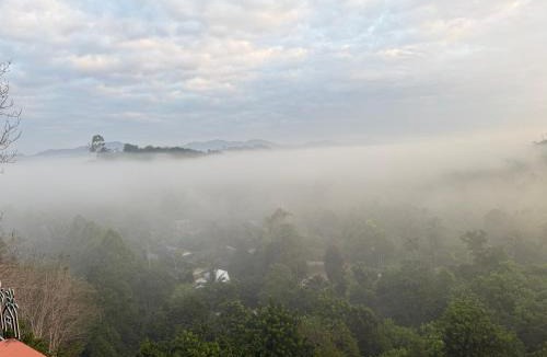 Takua Thung Hotel | Two Tree Cafe At Suanmuangthong