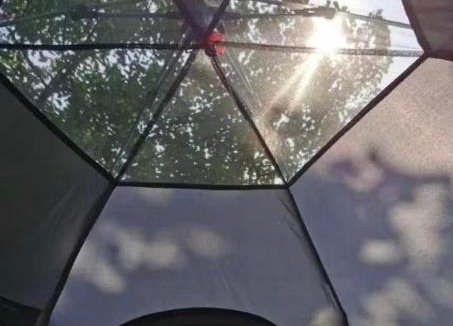 Koh Tao Hostel | Bird Nest
