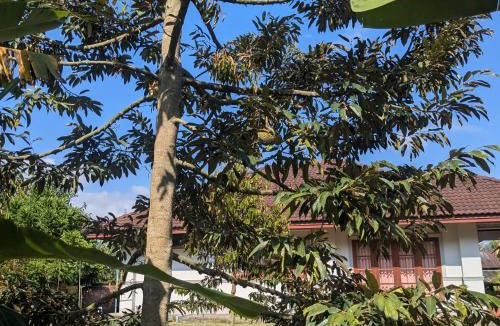 Thong Krut Resort | Chez ma mère Homestay