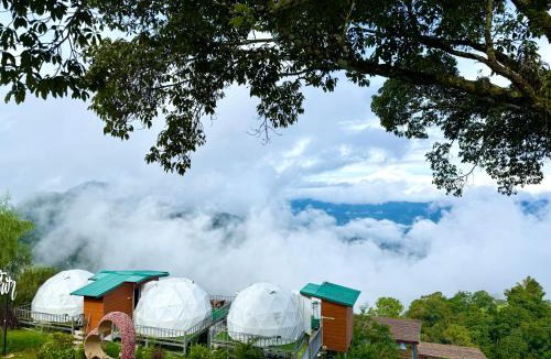 Tap Tao Hotel | Phuchifa Sky Camp ร้อยรักภูชี้ฟ้า