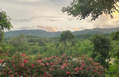 Song Phi Nong Cabin | 206 Wan Warn, 3 wooden houses in Kaeng Krachan Forest