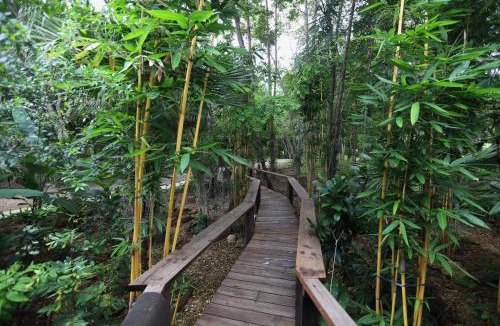 Song Phi Nong Cabin | 206 Wan Warn, 3 wooden houses in Kaeng Krachan Forest