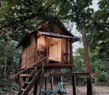 Luang Prabang Other | NamKhan Horse Stable