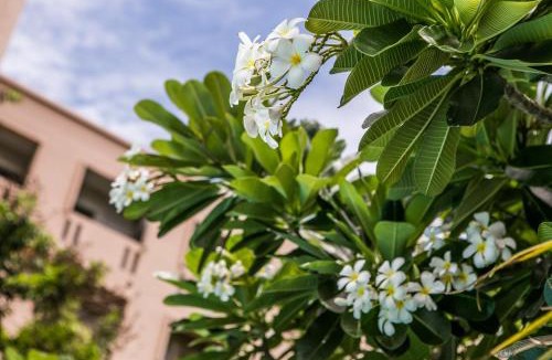 Ban Bang Saen Hotel | United Place