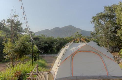 Nong Nam Daeng Resort | Ozone Valley Camp Khaoyai