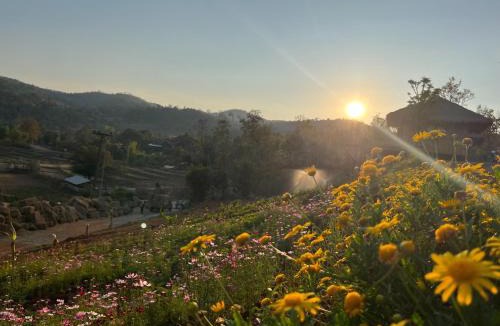 Mae Wang Bed & Breakfast | Lazy mango homestay