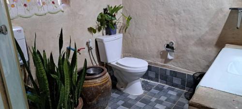 Lom Sak House | บ้านไร่โนเวมเบอร์ ที