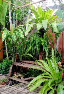 San Pu Loei Other | Ouychai Home stay resort
