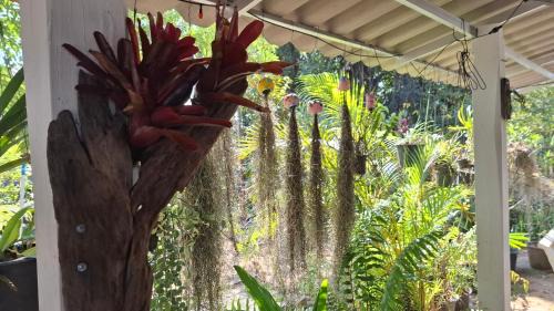 Fang House | บ้านครูเอ๋โฮมสเตย์ Baankruae Homestay