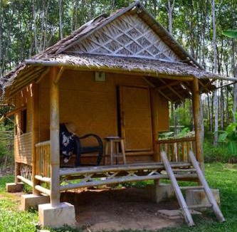 Phanom Other | Gaarawe, Khao Sok, Surat Thani Province, Thailande