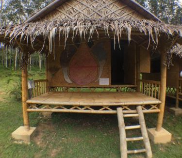 Phanom Other | Gaarawe, Khao Sok, Surat Thani Province, Thailande