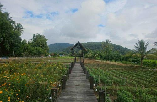 Fang Resort | Banna Cafe & Glamping บ้านนา คาเฟ่ แอนด์ แกรมปิ้ง