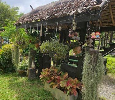 Fang Resort | Banna Cafe & Glamping บ้านนา คาเฟ่ แอนด์ แกรมปิ้ง