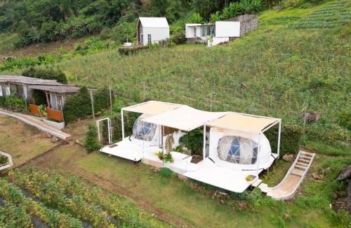 Pong Yaeng Resort | Phupetra