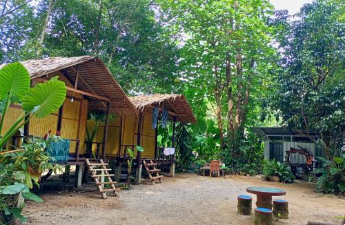 Khlong Sok Other | Khai jungle wassanacamp
