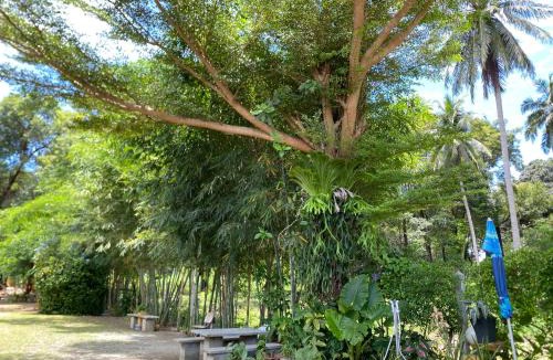 Ko Lanta Hostel | Baan Longhaad
