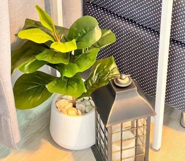 Trang Hotel | Triple J hotel Trang