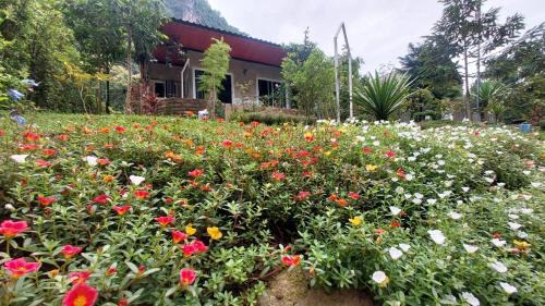 Chiang Dao House | วีรพัชนารา