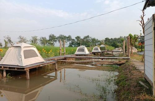 Ban Du Resort | เชียงรายฟิวชั่น