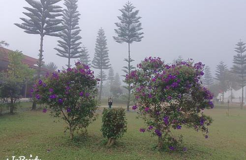 Khao Kho House | เฟรนด์แคมป์