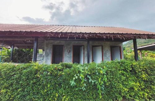 Na Mueang Other | Samui Camping Farm