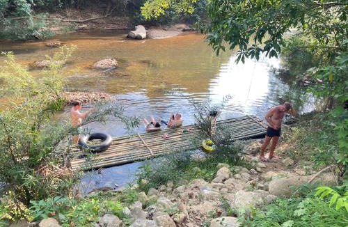 Khlong Sok Resort | Amornkeeree Khao Sok Camping