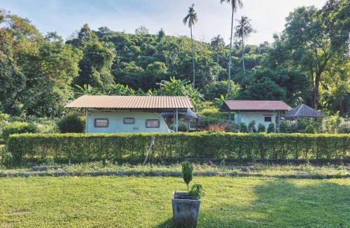 Na Mueang Other | Samui Camping Farm