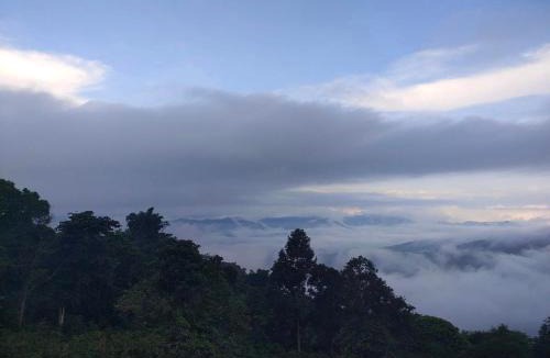 Chiang Rai Province Other | บ้านไร่นายสิงห์-Banrainaysing