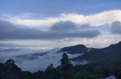 Chiang Rai Province Other | บ้านไร่นายสิงห์-Banrainaysing