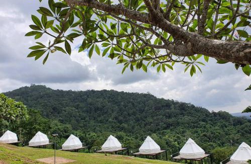Khao Kho Hotel | Merry Camp Khaokho