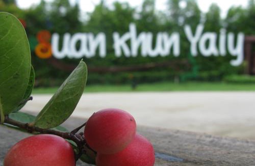 Sarika Hotel | Baan Suan Khun Yaiy