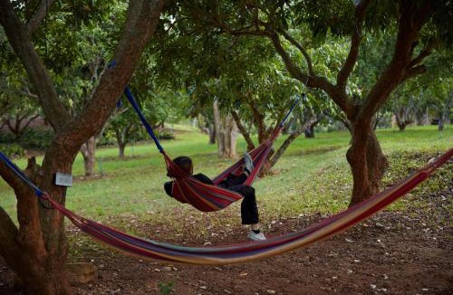 Pong Ta Long Resort | NUYU Khaoyai